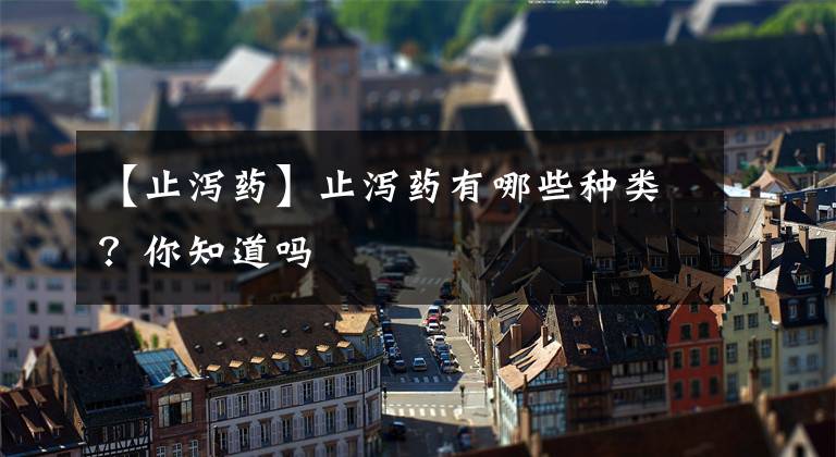 【止泻药】止泻药有哪些种类？你知道吗
