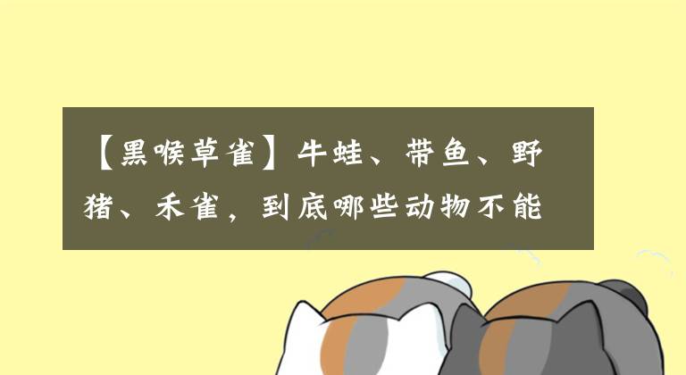 【黑喉草雀】牛蛙、带鱼、野猪、禾雀，到底哪些动物不能吃？