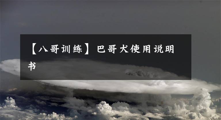 【八哥训练】巴哥犬使用说明书