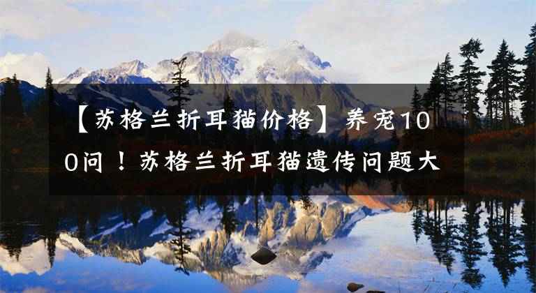 【苏格兰折耳猫价格】养宠100问！苏格兰折耳猫遗传问题大起底