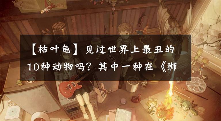 【枯叶龟】见过世界上最丑的10种动物吗？其中一种在《狮子王》里臭名昭著