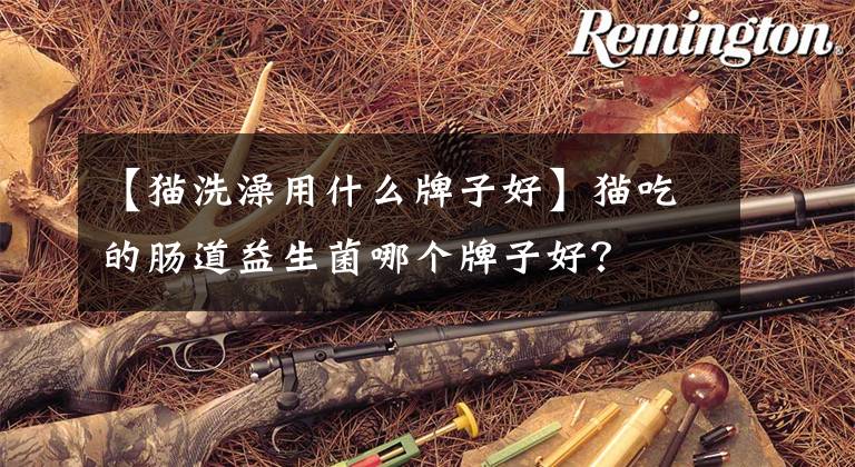 【猫洗澡用什么牌子好】猫吃的肠道益生菌哪个牌子好？