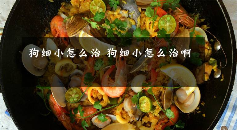 狗细小怎么治 狗细小怎么治啊