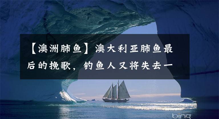 【澳洲肺鱼】澳大利亚肺鱼最后的挽歌，钓鱼人又将失去一种极棒的路亚鱼种