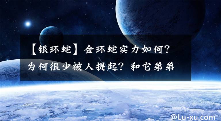 【银环蛇】金环蛇实力如何？为何很少被人提起？和它弟弟银环蛇相比谁更厉害