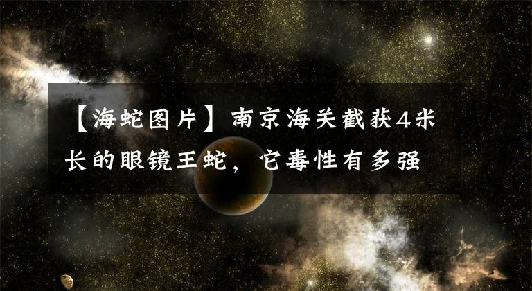 【海蛇图片】南京海关截获4米长的眼镜王蛇，它毒性有多强？不幸遇到怎么办？
