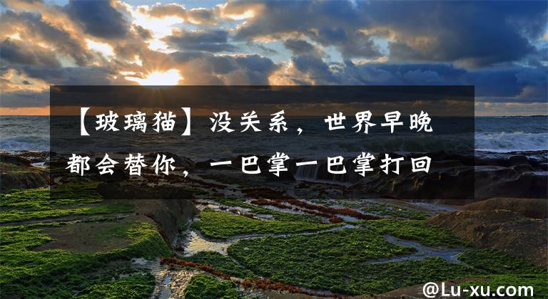 【玻璃猫】没关系，世界早晚都会替你，一巴掌一巴掌打回去
