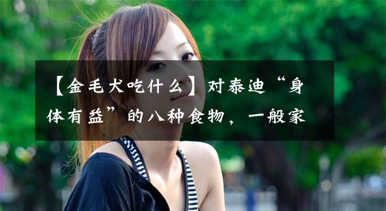 【金毛犬吃什么】对泰迪“身体有益”的八种食物，一般家庭都有