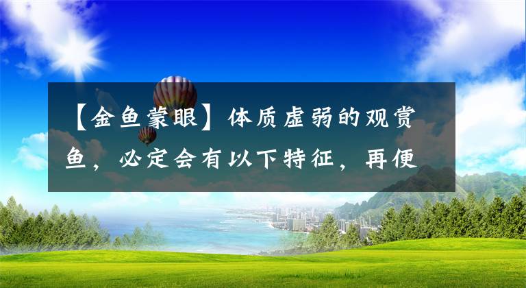 【金鱼蒙眼】体质虚弱的观赏鱼，必定会有以下特征，再便宜也不要购买