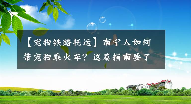 【宠物铁路托运】南宁人如何带宠物乘火车？这篇指南要了解