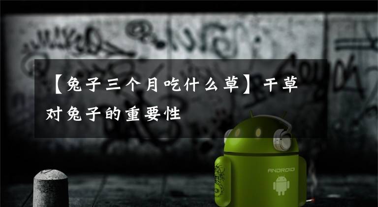 【兔子三个月吃什么草】干草对兔子的重要性