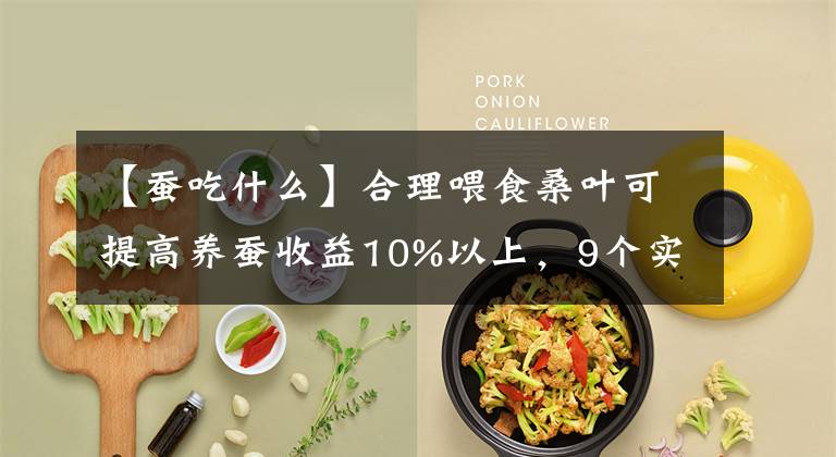 【蚕吃什么】合理喂食桑叶可提高养蚕收益10%以上，9个实用办法养殖户需要掌握