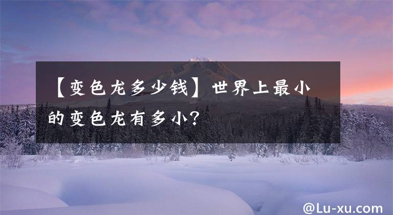 【变色龙多少钱】世界上最小的变色龙有多小？