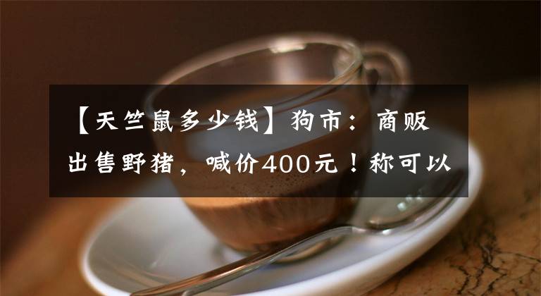 【天竺鼠多少钱】狗市：商贩出售野猪，喊价400元！称可以做宠物养