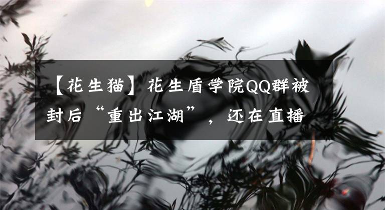 【花生猫】花生盾学院QQ群被封后“重出江湖”，还在直播发布虐猫视频