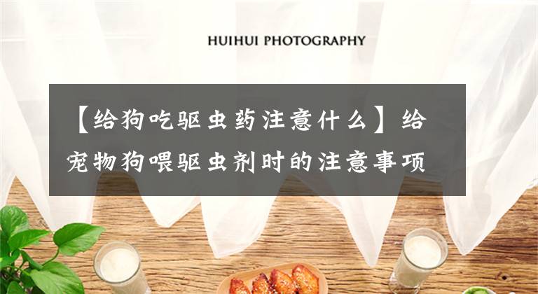 【给狗吃驱虫药注意什么】给宠物狗喂驱虫剂时的注意事项