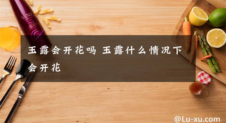 玉露会开花吗 玉露什么情况下会开花