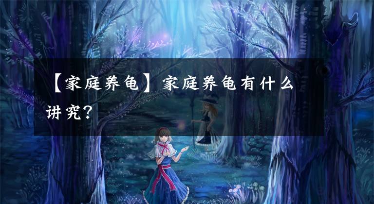 【家庭养龟】家庭养龟有什么讲究？