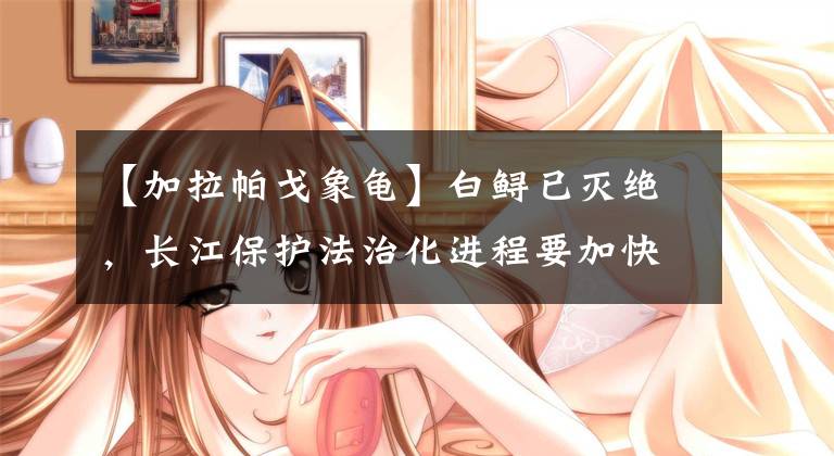 【加拉帕戈象龟】白鲟已灭绝，长江保护法治化进程要加快