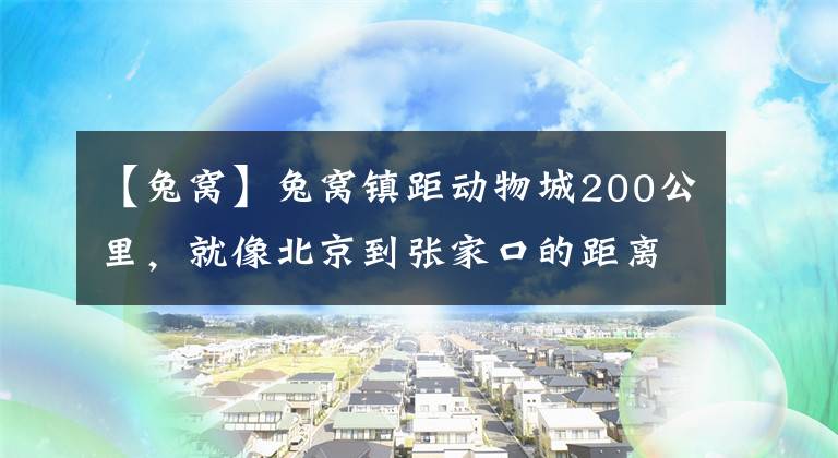 【兔窝】兔窝镇距动物城200公里，就像北京到张家口的距离 | 推荐