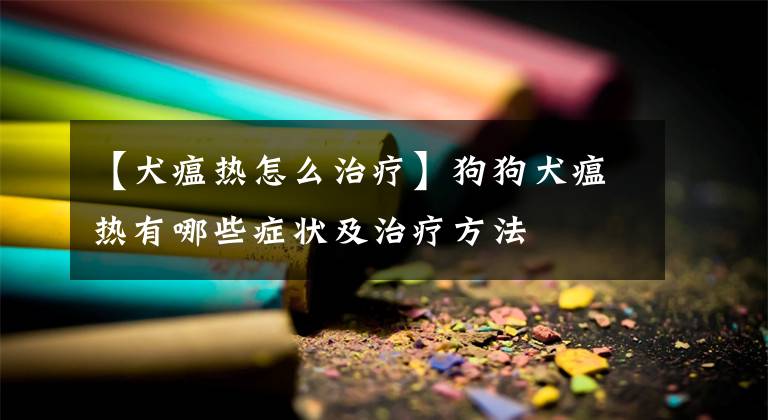 【犬瘟热怎么治疗】狗狗犬瘟热有哪些症状及治疗方法