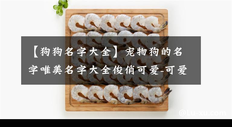 【狗狗名字大全】宠物狗的名字唯美名字大全俊俏可爱-可爱点