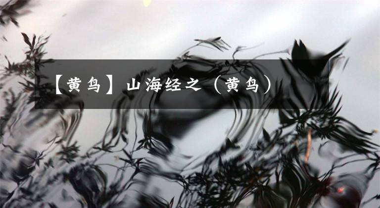 【黄鸟】山海经之（黄鸟）