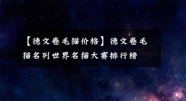 【德文卷毛猫价格】德文卷毛猫名列世界名猫大赛排行榜
