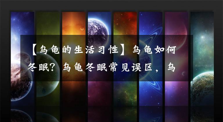【乌龟的生活习性】乌龟如何冬眠？乌龟冬眠常见误区，乌龟冬眠期养护方法全套方案
