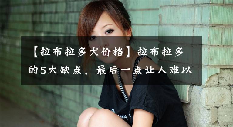【拉布拉多犬价格】拉布拉多的5大缺点，最后一点让人难以忍受，看完恍然大悟