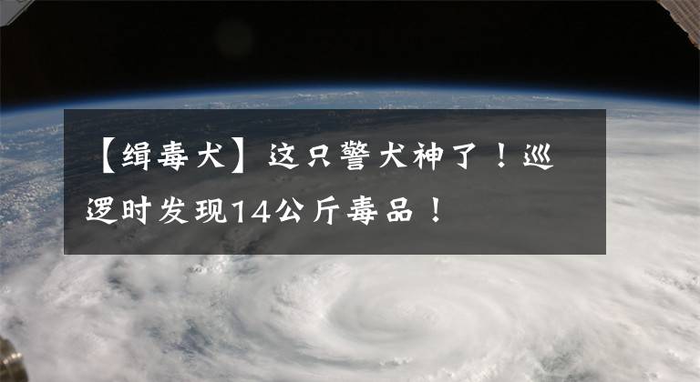 【缉毒犬】这只警犬神了！巡逻时发现14公斤毒品！