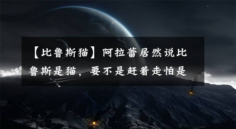 【比鲁斯猫】阿拉蕾居然说比鲁斯是猫，要不是赶着走怕是出事了！