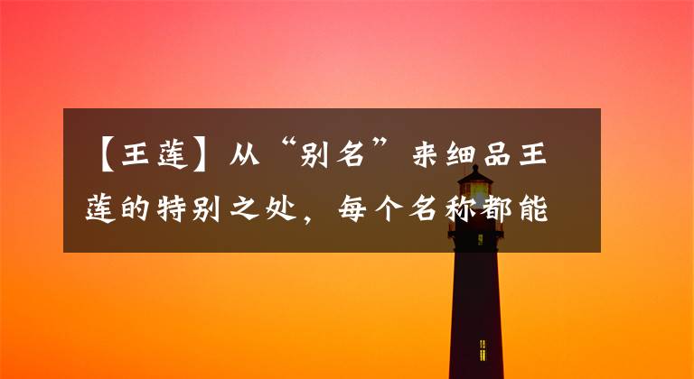 【王莲】从“别名”来细品王莲的特别之处，每个名称都能称霸植物界