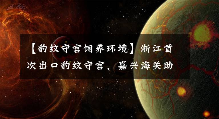 【豹纹守宫饲养环境】浙江首次出口豹纹守宫，嘉兴海关助力特色宠物养殖行业走向世界