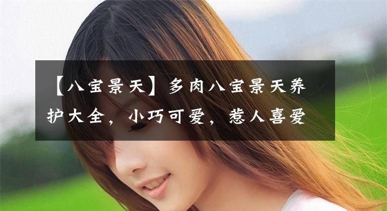 【八宝景天】多肉八宝景天养护大全，小巧可爱，惹人喜爱！