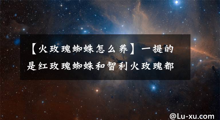 【火玫瑰蜘蛛怎么养】一提的是红玫瑰蜘蛛和智利火玫瑰都是寿命很长的宠物蜘蛛