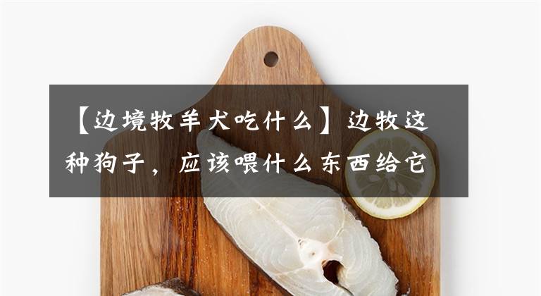 【边境牧羊犬吃什么】边牧这种狗子，应该喂什么东西给它吃，比较好？