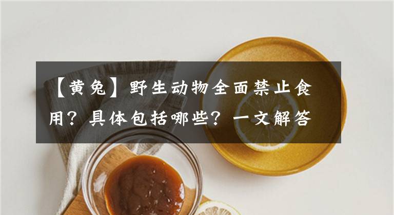 【黄兔】野生动物全面禁止食用？具体包括哪些？一文解答