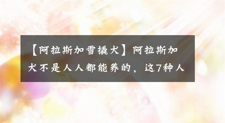 【阿拉斯加雪撬犬】阿拉斯加犬不是人人都能养的，这7种人，请放弃