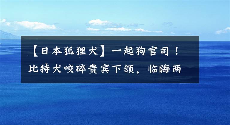 【日本狐狸犬】一起狗官司！比特犬咬碎贵宾下颌，临海两“铲屎官”对簿公堂，小区哪些犬禁养，看这里