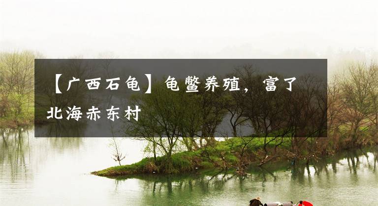 【广西石龟】龟鳖养殖，富了北海赤东村