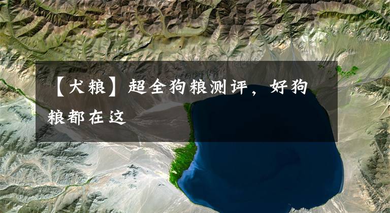 【犬粮】超全狗粮测评，好狗粮都在这