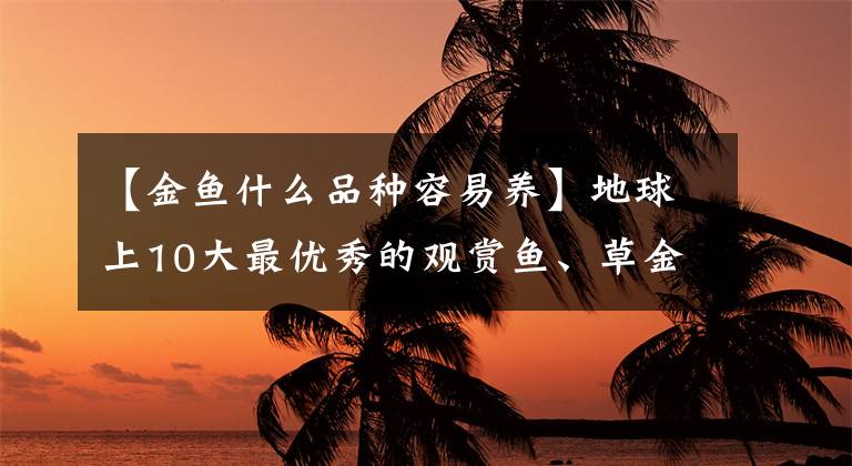 【金鱼什么品种容易养】地球上10大最优秀的观赏鱼、草金鱼第一名、孔雀第九名