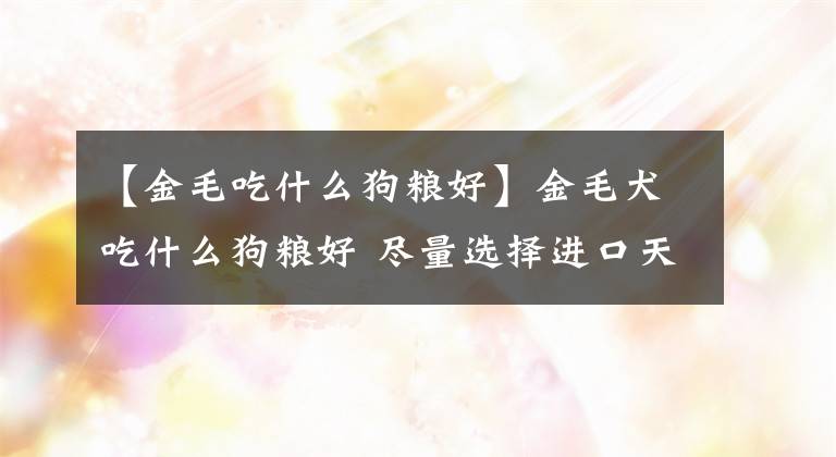 【金毛吃什么狗粮好】金毛犬吃什么狗粮好 尽量选择进口天然粮