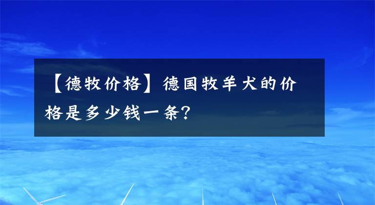 【德牧价格】德国牧羊犬的价格是多少钱一条？