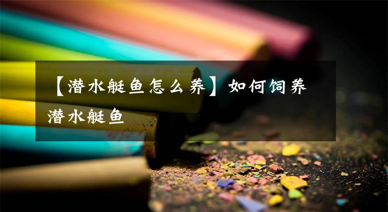 【潜水艇鱼怎么养】如何饲养潜水艇鱼