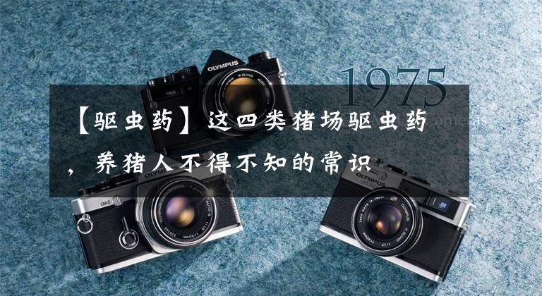 【驱虫药】这四类猪场驱虫药，养猪人不得不知的常识