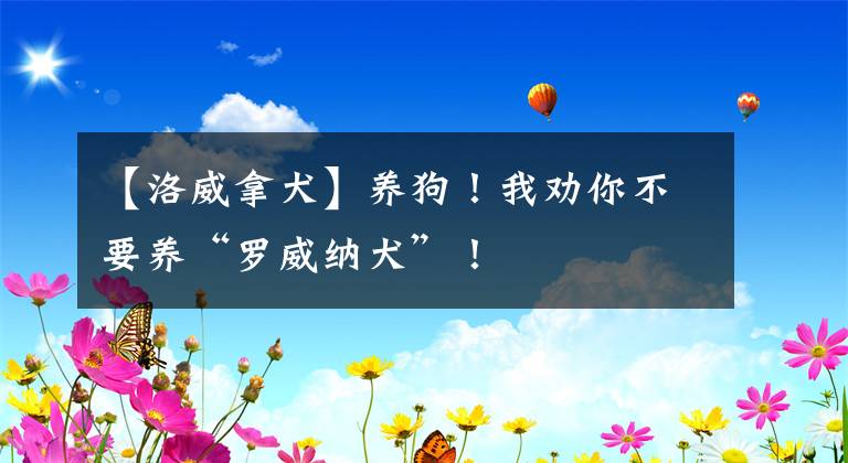【洛威拿犬】养狗！我劝你不要养“罗威纳犬”！
