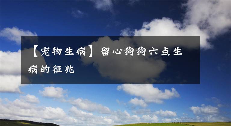 【宠物生病】留心狗狗六点生病的征兆