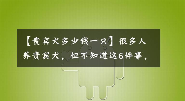 【贵宾犬多少钱一只】很多人养贵宾犬，但不知道这6件事，作为主人你知道吗？